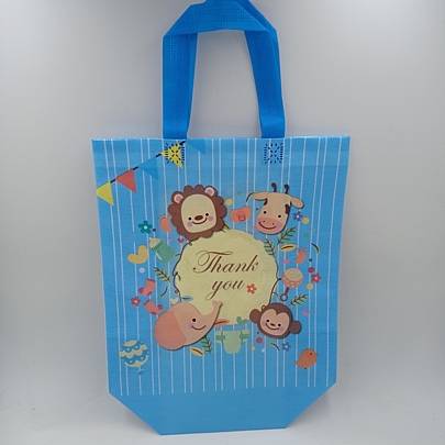 Non Woven Bag 