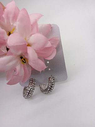 Σκουλαρίκια ατσάλινα καρφωτά κρίκος με στρασάκια 1092 Silver