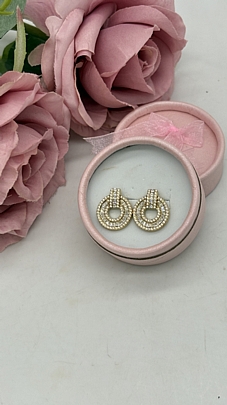 Σκουλαρίκια καρφωτά στρόγγυλα με στρας 1102 Gold