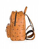 Pierro Τσάντα Πλάτης Federica Monogram Taba : 3