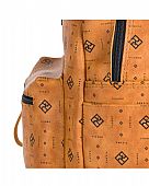 Pierro Τσάντα Πλάτης Federica Monogram Taba : 5