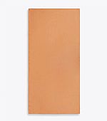 AXEL ΓΥΝΑΙΚΕΙΟ ΦΟΥΛΑΡΙ ΣΑΤΕΝ 1704-1047 ORANGE 039 : 1