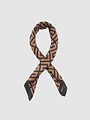Verde Φουλάρι-Εσάρπα 03-2501 Black Brown : 1