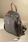 Fragola Γυναικεία Τσάντα Πολυμορφικό backpack με casual logo FE236-fh-black-brown : 2