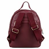 Γυναικεία Τσάντα Πλάτης Ari Gorgio AG2599 Bordo : 2